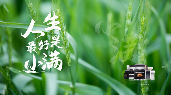 十大品牌科恩集成灶：廚房亦需“小滿”！